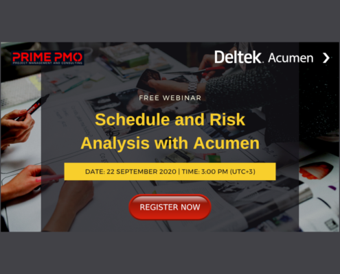 Schedule and Risk Analysis with Acumen