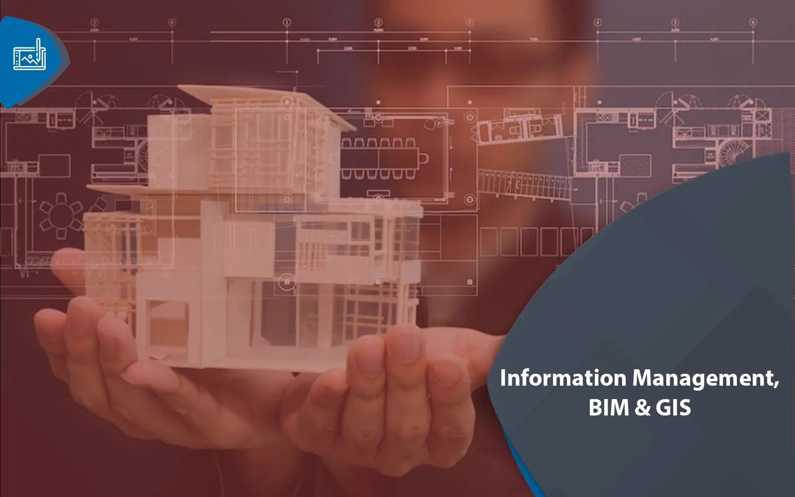 Information Management